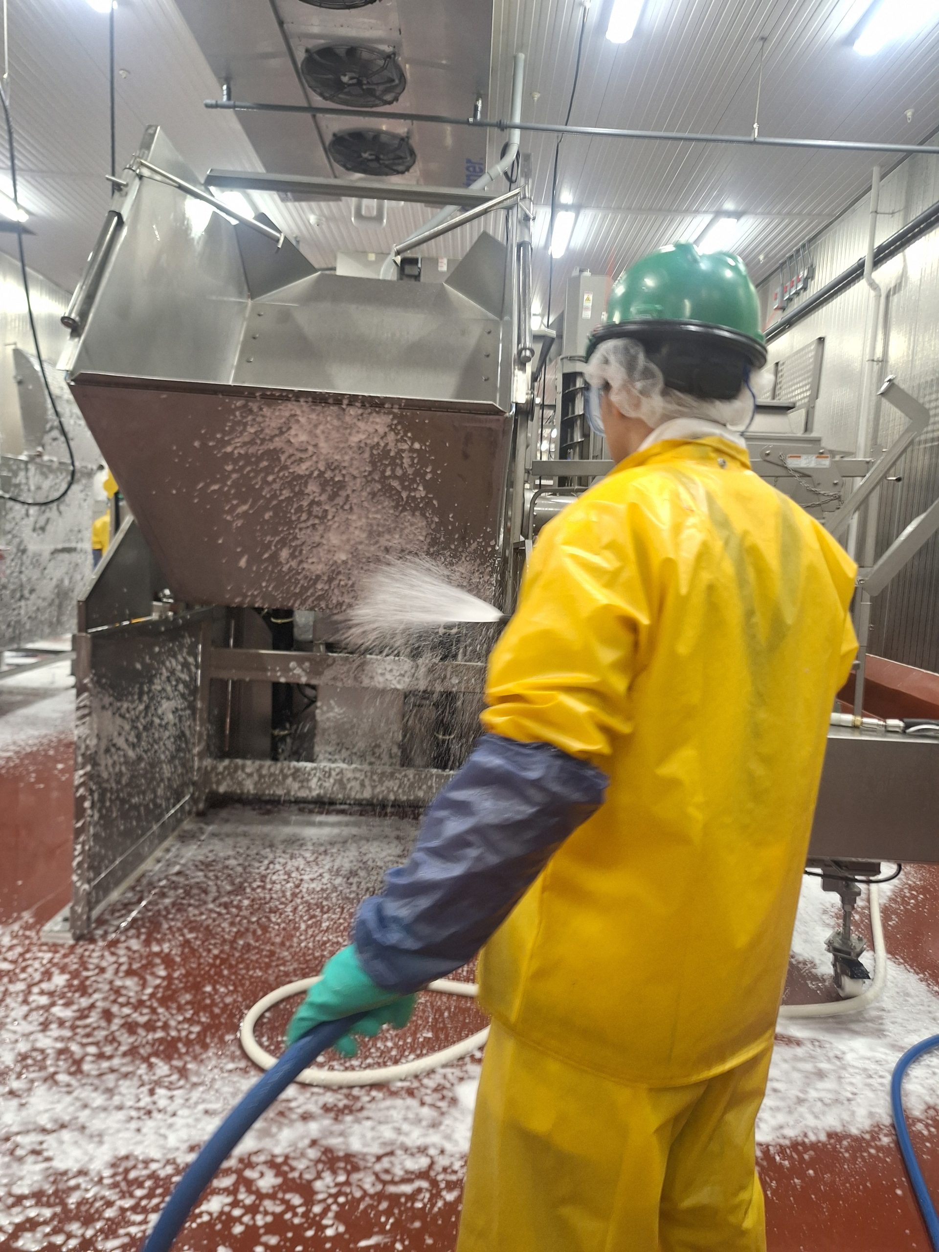 Detergent Application & Scrubbing