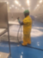 Sanitation professional