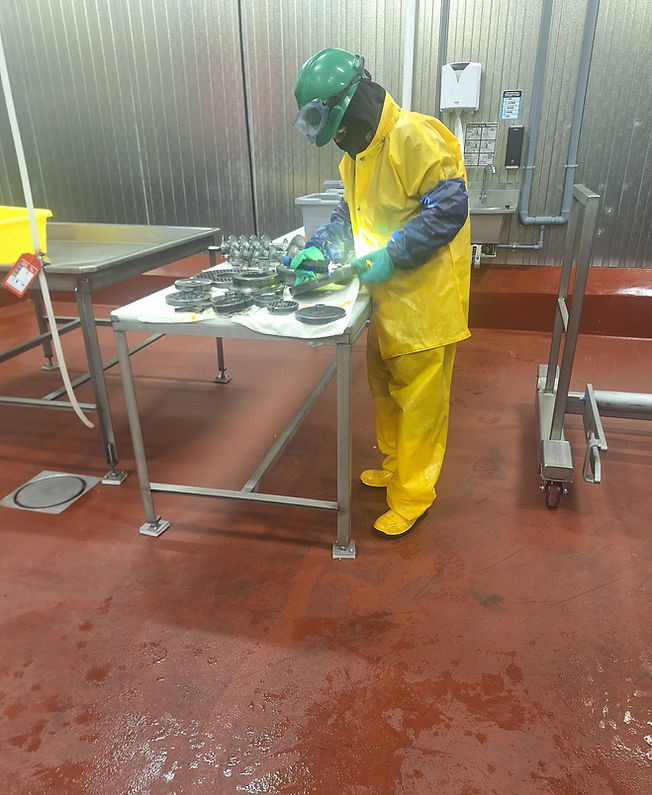 Food Plant Sanitation