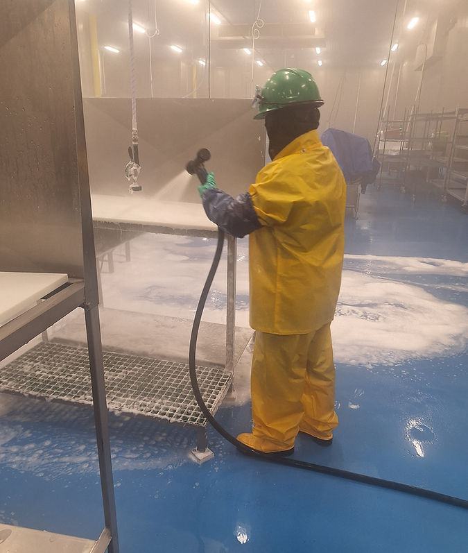 Sanitation professional at work